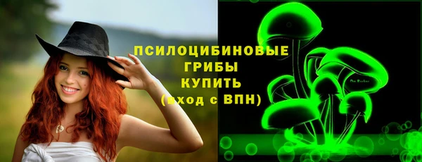 2c-b Беломорск