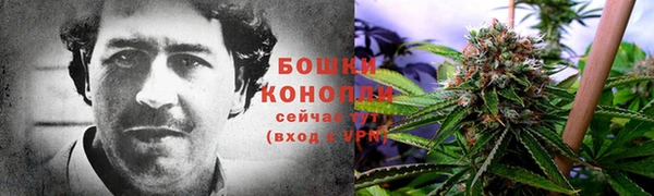 2c-b Беломорск
